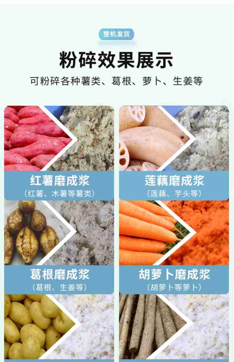 目前安阳滑县小麦长势良好(央广网记者 郝振青 摄)